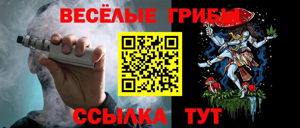 Галлюциногенные грибы Psilocybine cubensis  Вход с VPN  купить   Ессентуки 