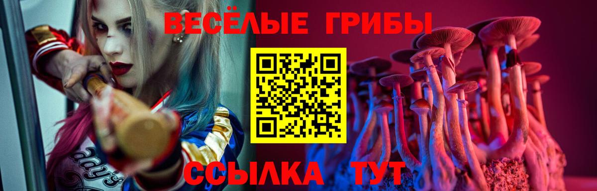 Псилоцибиновые грибы Magic Shrooms Ессентуки
